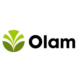 Olam